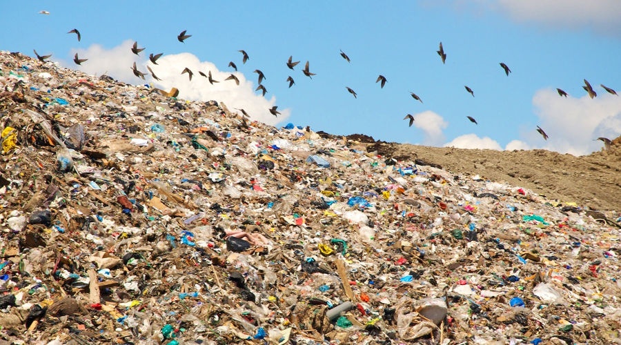 Депутат Госдумы предложил возложить на производителей упаковки расходы за утилизацию мусора