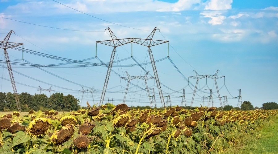 «Энергоадвокат» позволяет значительно сократить сроки подключения объектов инвесторов к электросетям – Кивико