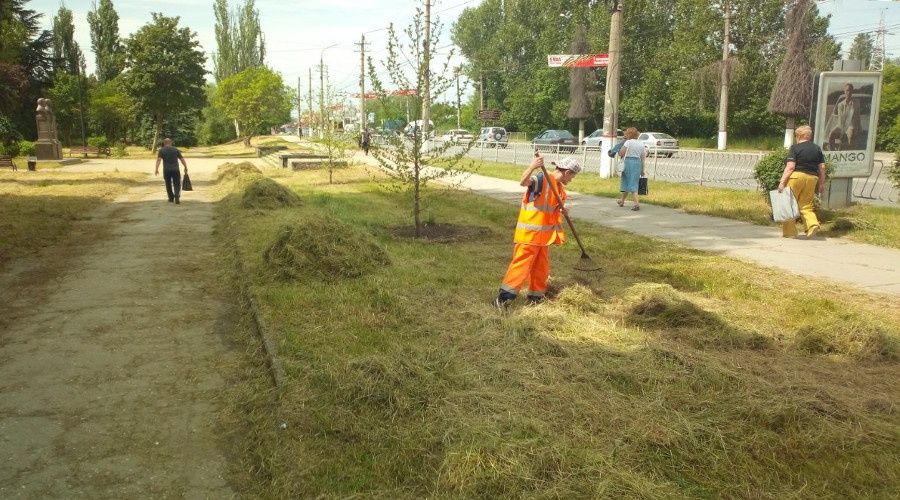 Симферопольские коммунальщики за неделю выкосили 130 тыс квадратных метров травы