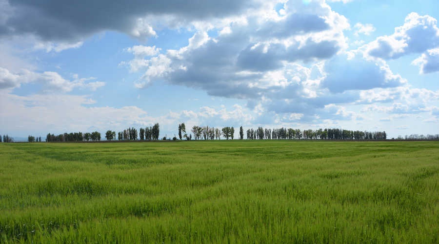 Минсельхоз Крыма выделил более 20 млн рублей на улучшение жизни в сельской местности