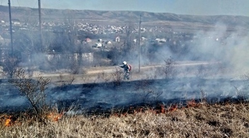 Крымские пожарные с начала года потушили более 250 возгораний сухостоя