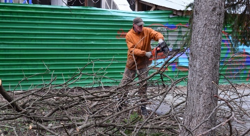 Коммунальщики Симферополя завершают санитарную обрезку деревьев и саночистку в сквере Мира