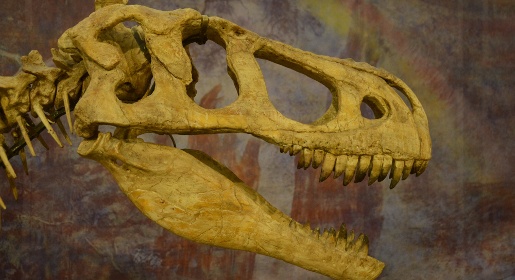 Первый крымский динозавр поселился в музее Никитского ботанического сада