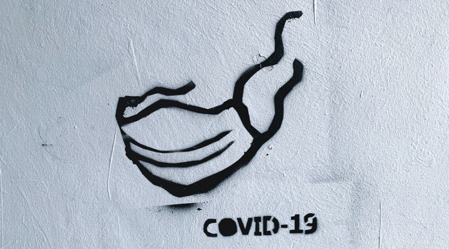 COVID-19 подтвержден у 14 человек в Севастополе 