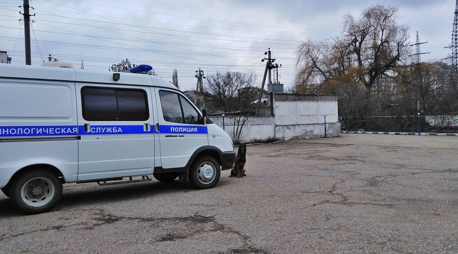 Служебные собаки помогли крымским полицейским раскрыть за год около 300 преступлений