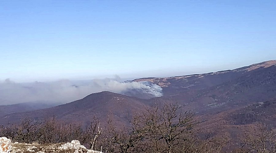 Дополнительные силы стягивают для тушения лесного пожара недалеко от Симферополя