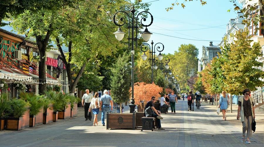 Ученые определили подходящие для симферопольских улиц деревья