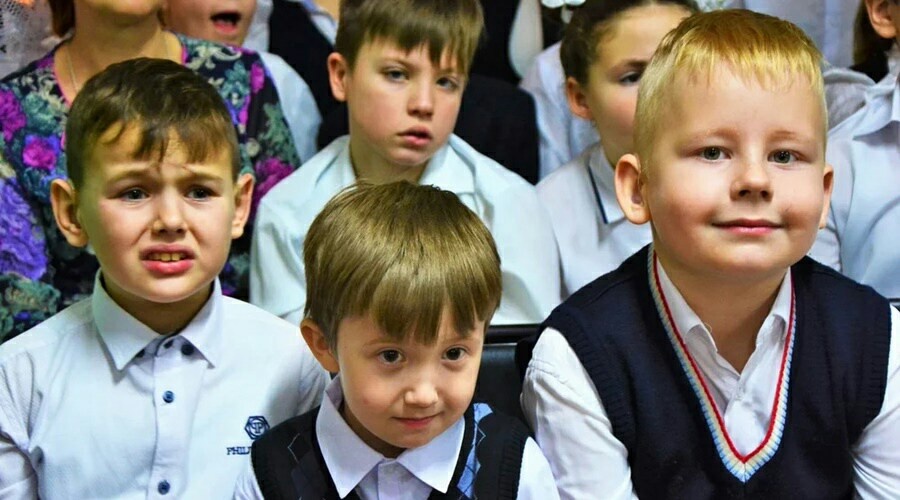 Минпросвещения РФ создало для школьников соцсеть и мессенджер