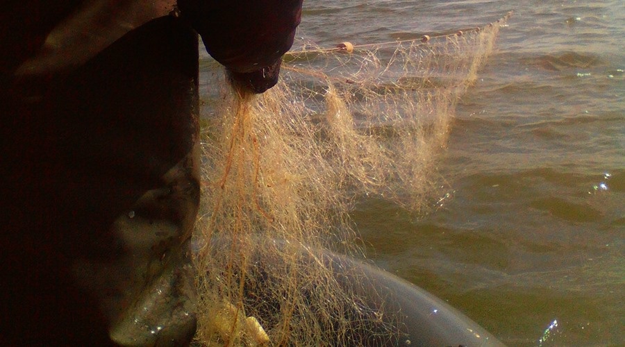 Госинспекторы изъяли десятки метров браконьерских сетей из водохранилищ Крыма
