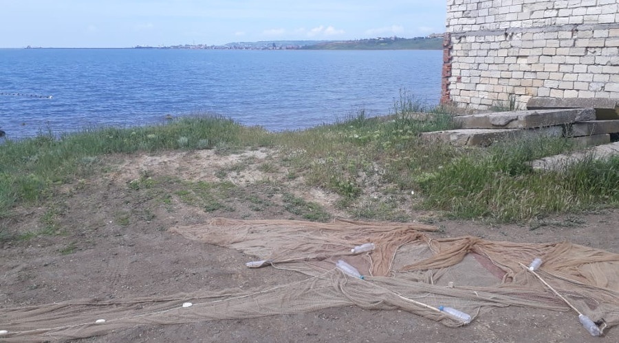 Браконьер осужден за вылов креветки в Керченском проливе 
